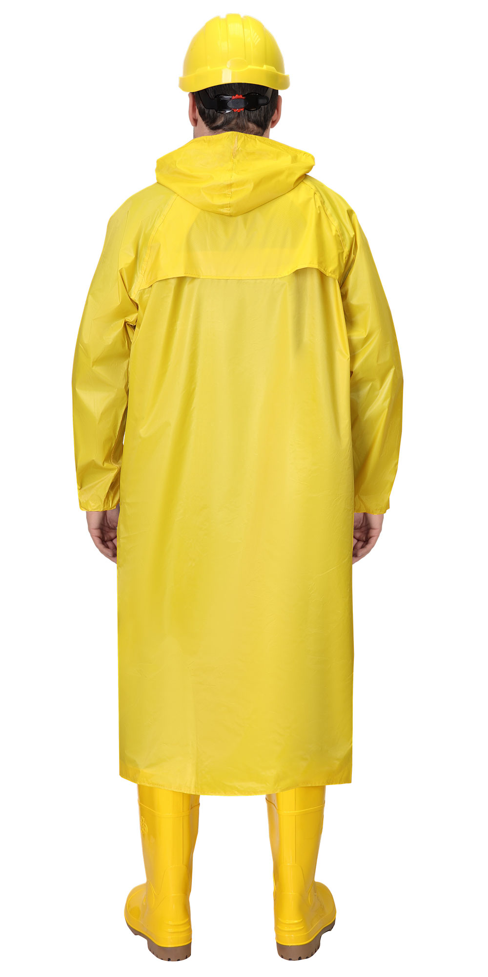 ���� ������������� SIRIUS �������� (210 ��/�2) ������ (��)