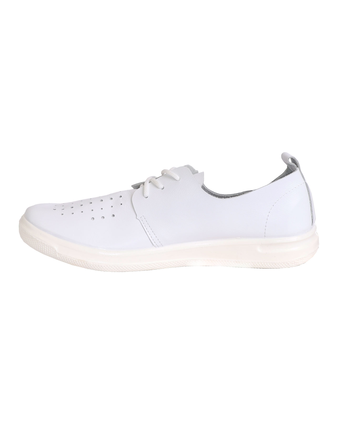 ����������� � ����������� �����, ��